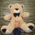 Oso de peluche grande 1,10m.