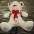 Oso de peluche grande personalizado 1,50m.