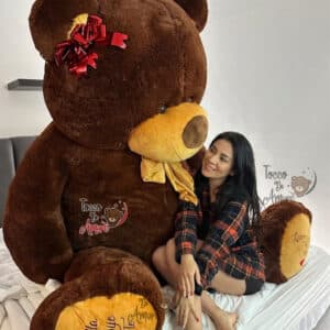 Oso de Peluche Extra Gigante 280cm Personalizado con Huellas, Corazón y Audio